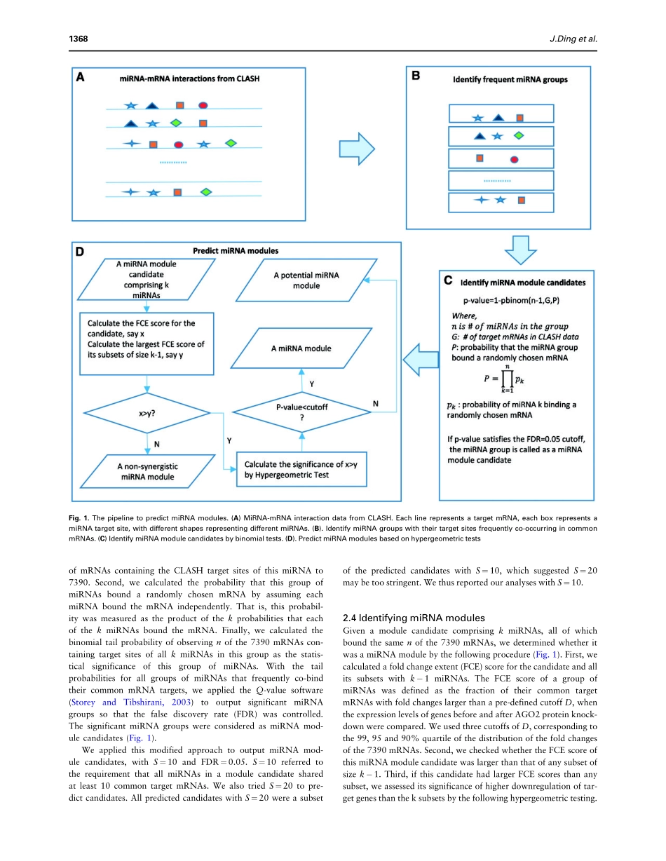 MicroRNA modules prefer to bind weak and unconventional target sites.pdf_第3页