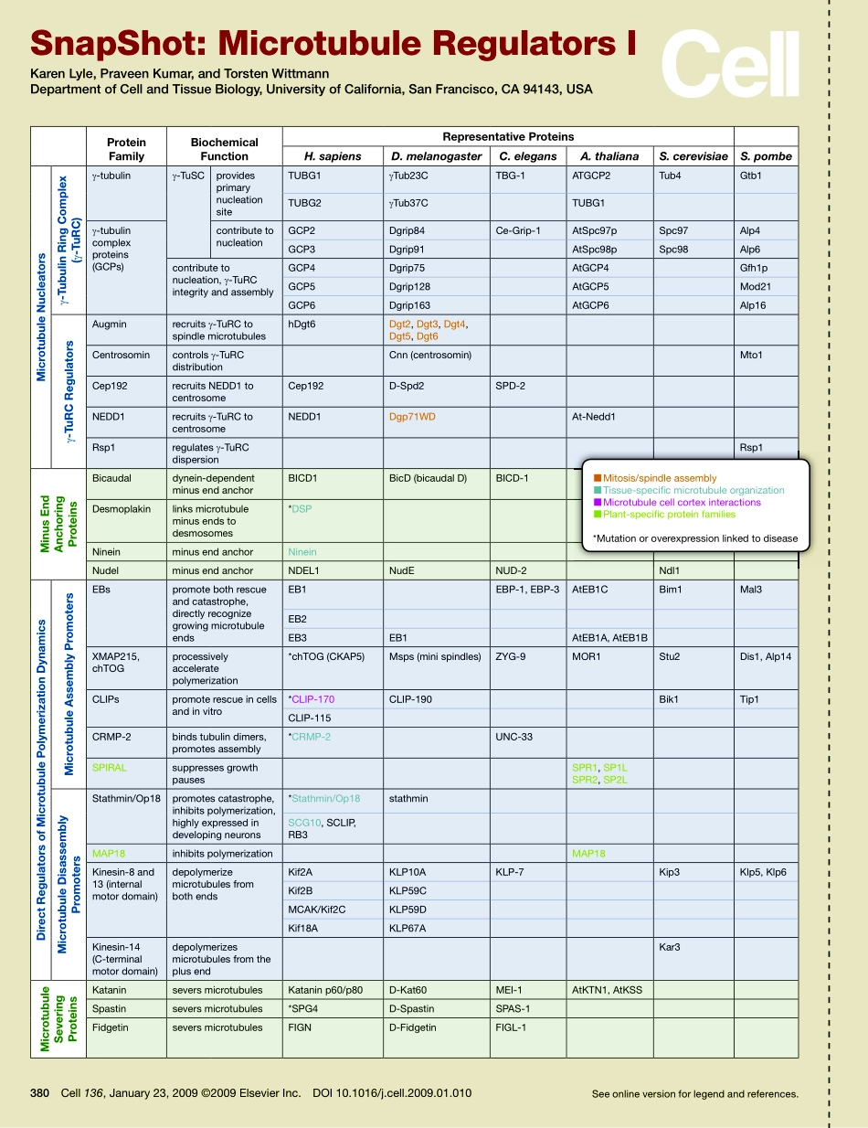 Microtubule Regulators I.PDF_第1页