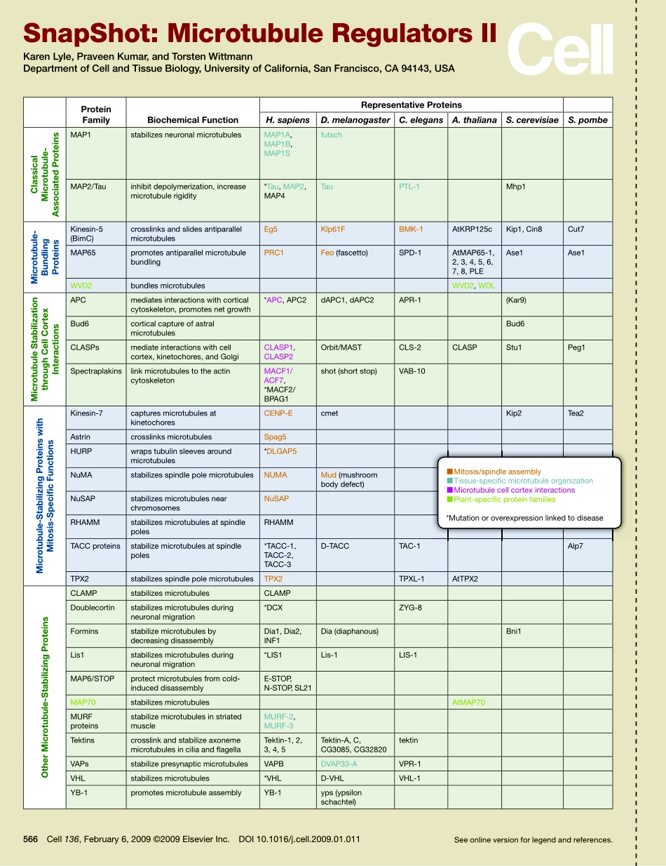Microtubule Regulators II.PDF_第1页