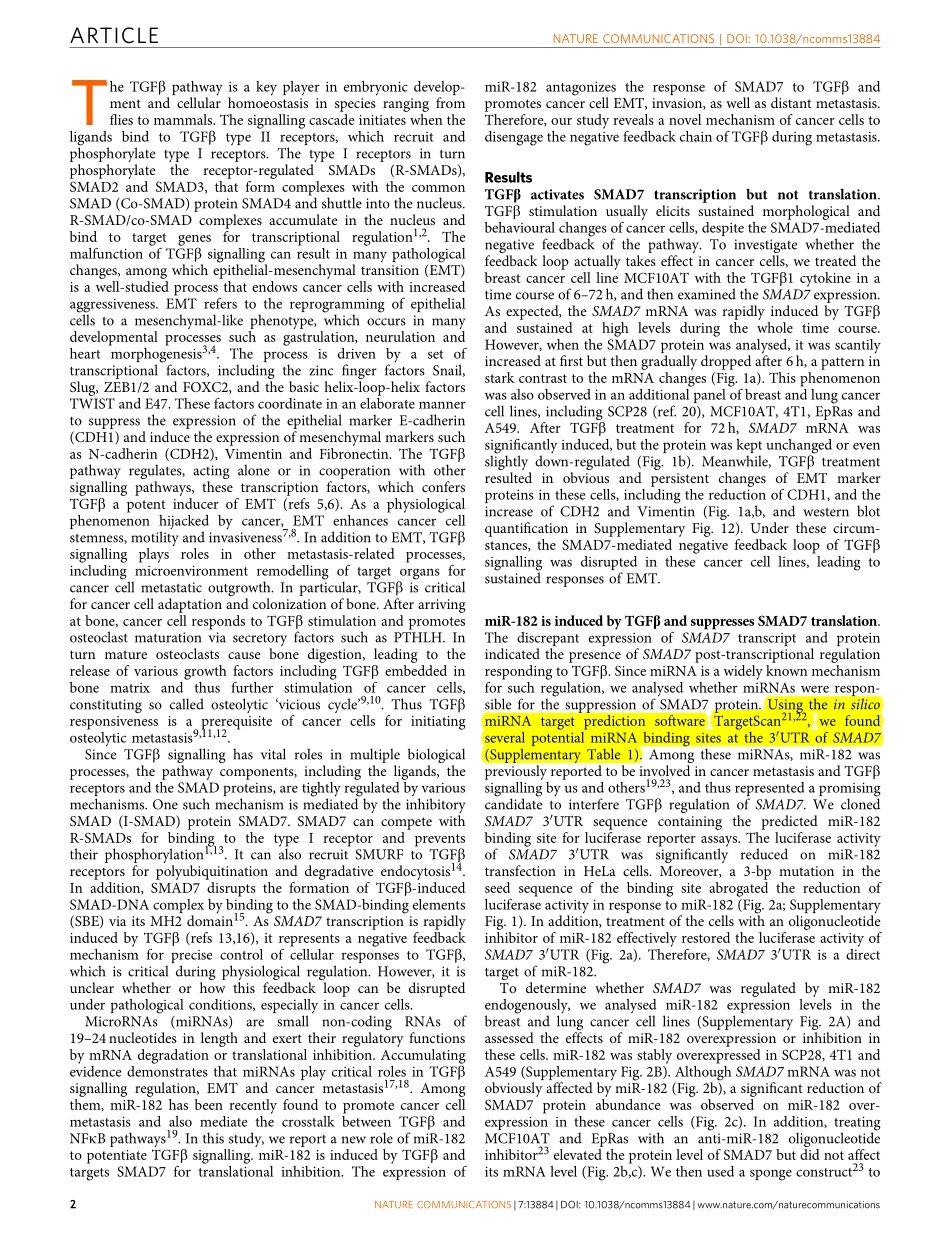 miRNA文献案例2.pdf_第2页