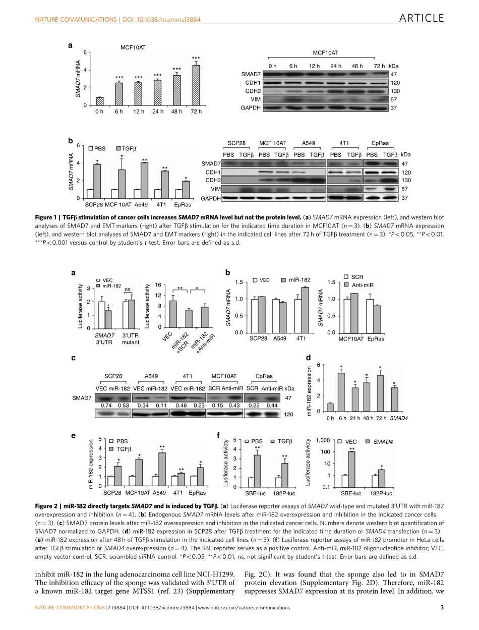 miRNA文献案例2.pdf_第3页