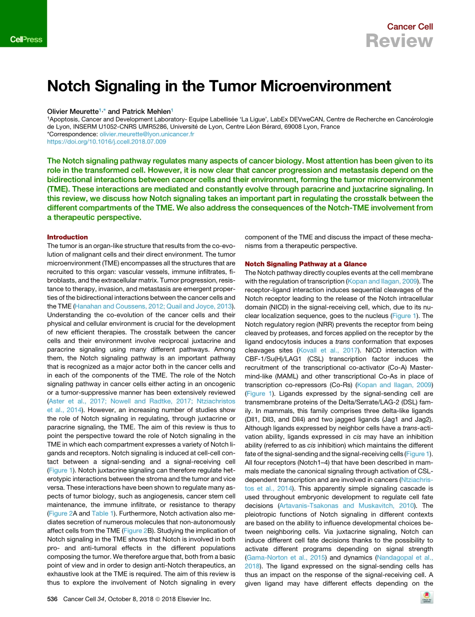 Meurette-2018-Notch Signaling in the Tumor Mic.pdf_第1页