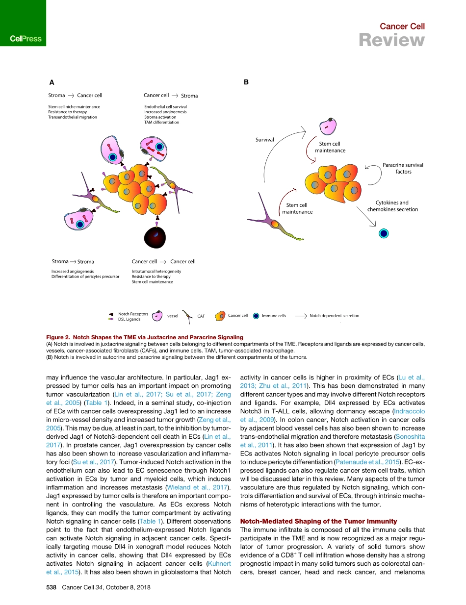 Meurette-2018-Notch Signaling in the Tumor Mic.pdf_第3页