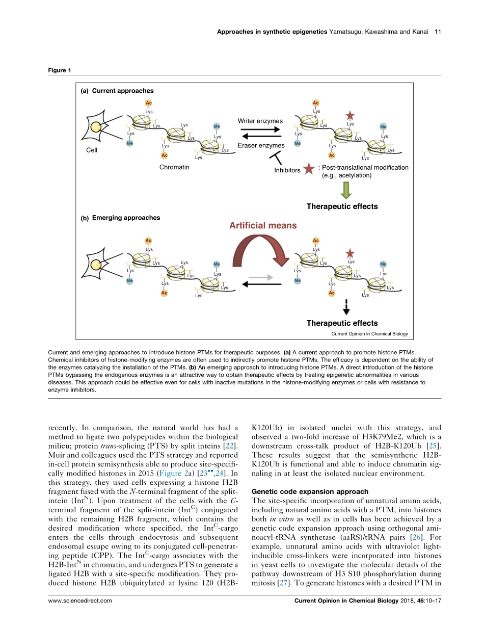 Leading approaches in synthetic epigenetics for novel therapeutic strategies.pdf_第2页