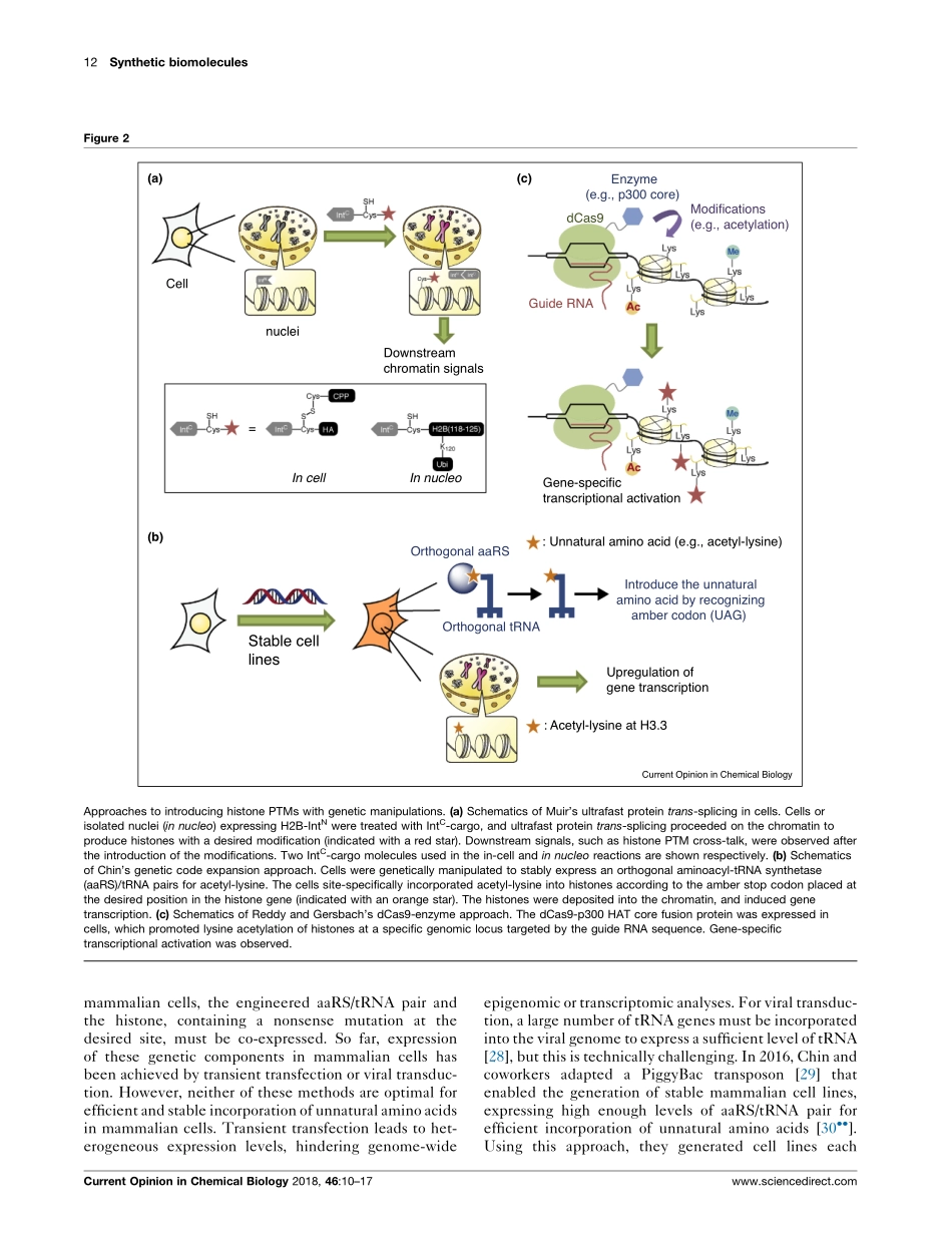Leading approaches in synthetic epigenetics for novel therapeutic strategies.pdf_第3页