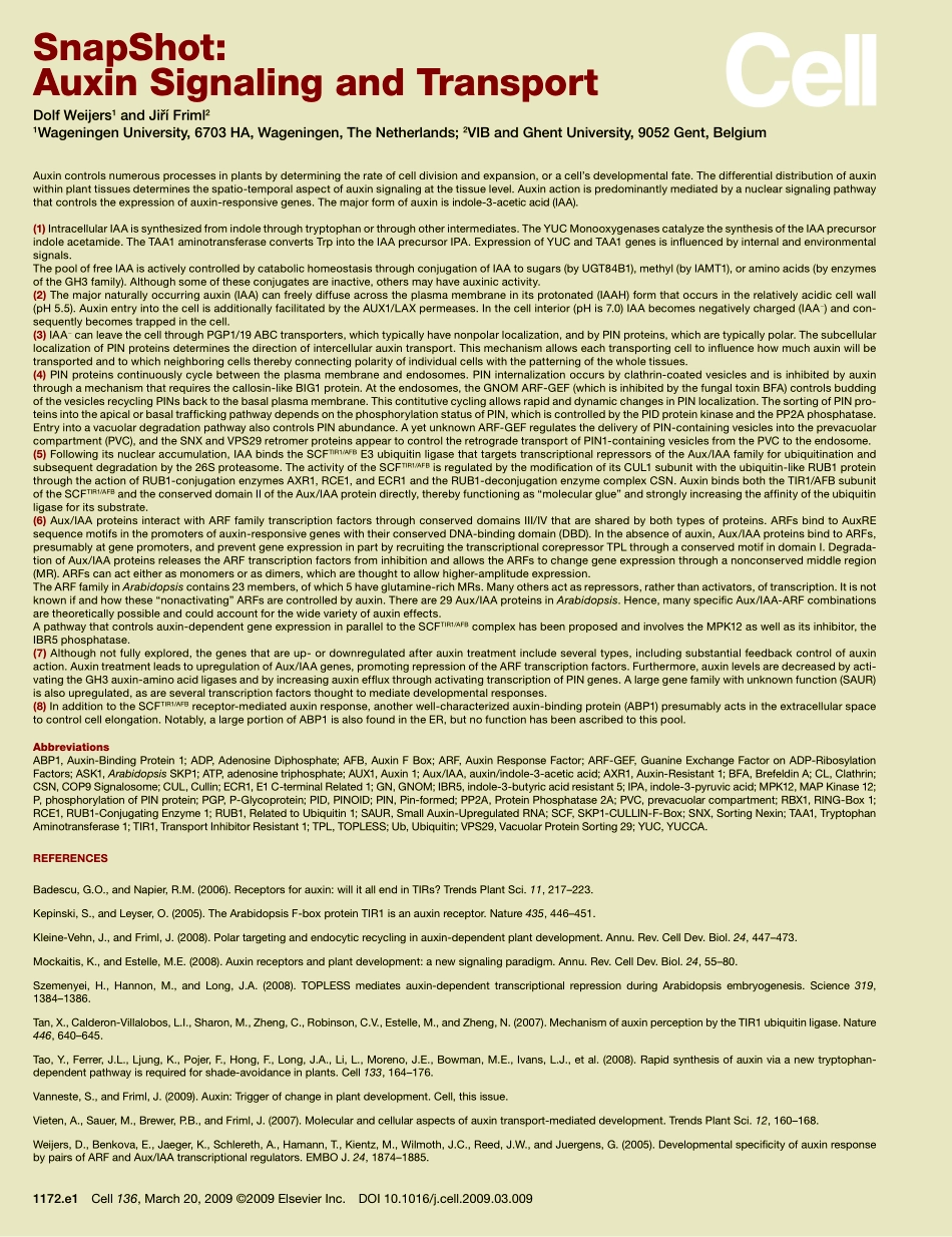 Auxin Signaling and Transport.PDF_第2页
