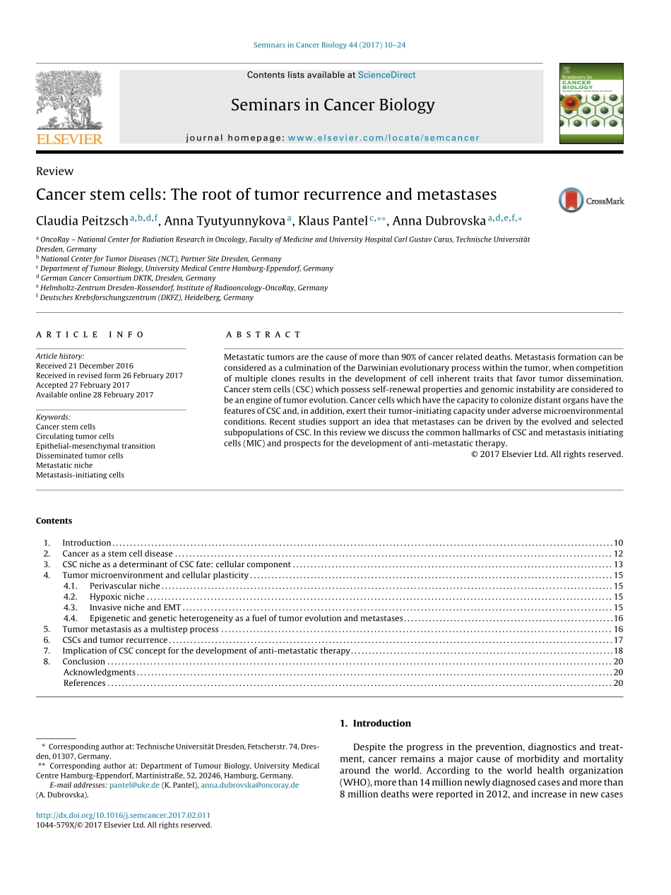 Peitzsch-2017-Cancer stem cells_ The root of t.pdf_第1页
