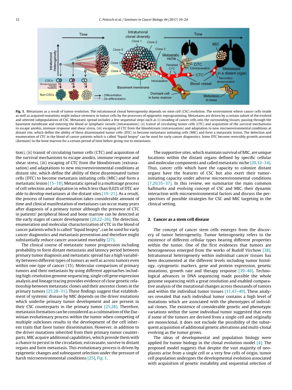 Peitzsch-2017-Cancer stem cells_ The root of t.pdf_第3页