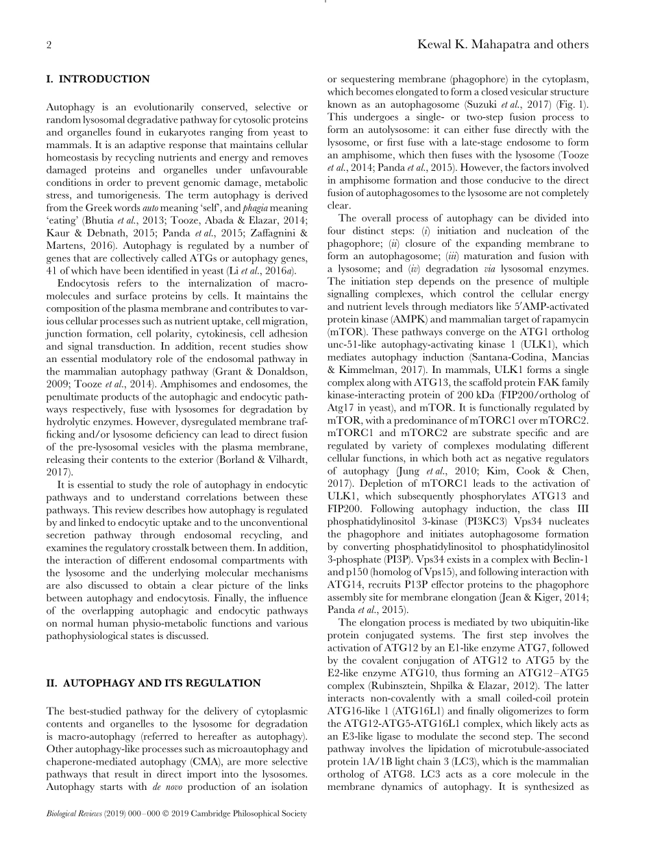 Molecular interplay of autophagy and endocytos.pdf_第2页