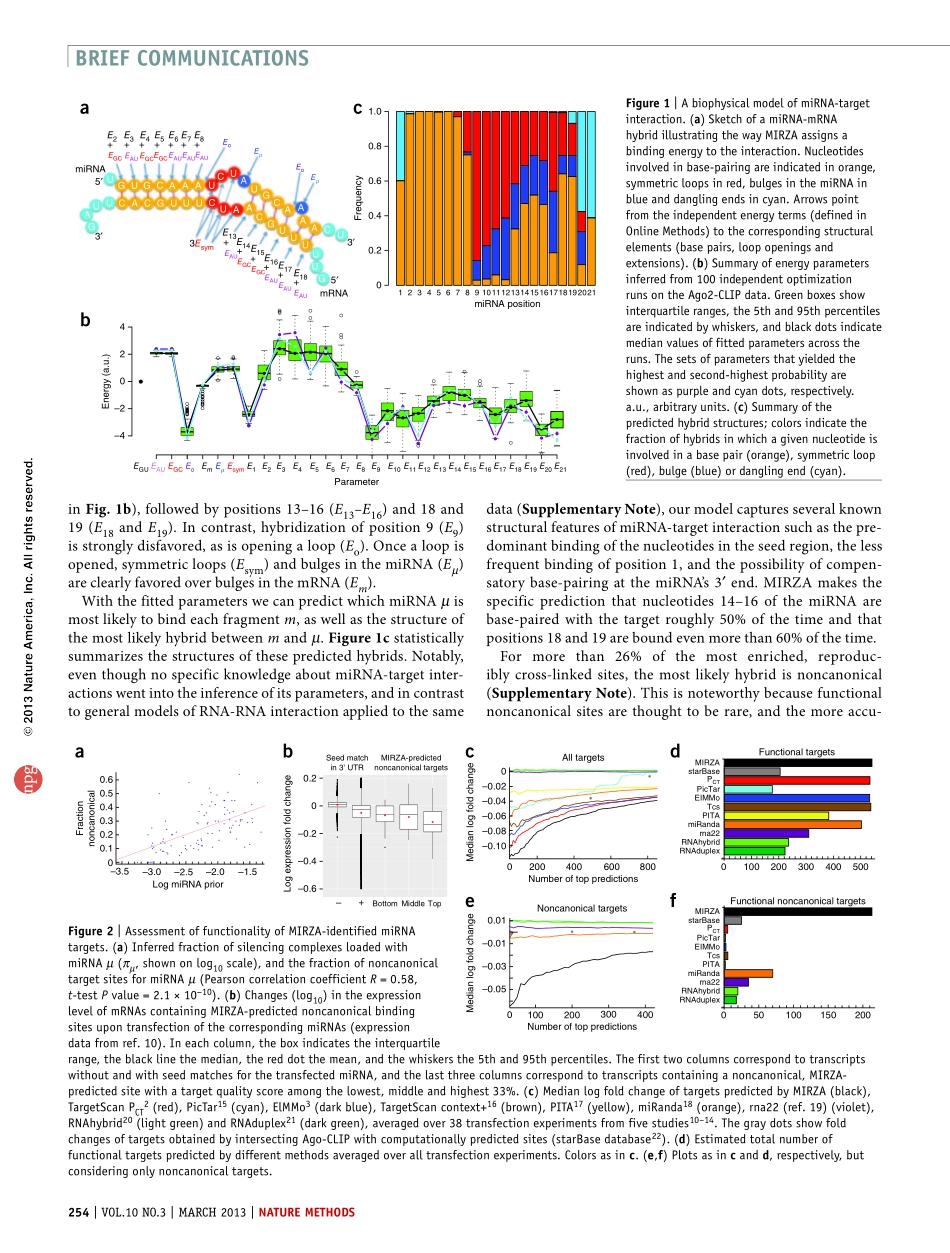 A biophysical miRNAmRNA interaction model infers canonical and noncanonical targets.pdf_第2页
