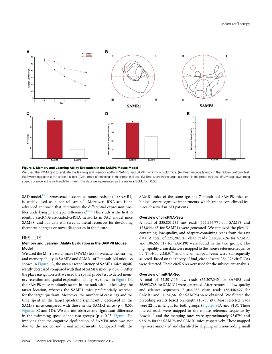Mol Ther. 2017衰老加速小鼠大脑中circRNA相关ceRNA网络的特征.pdf_第2页