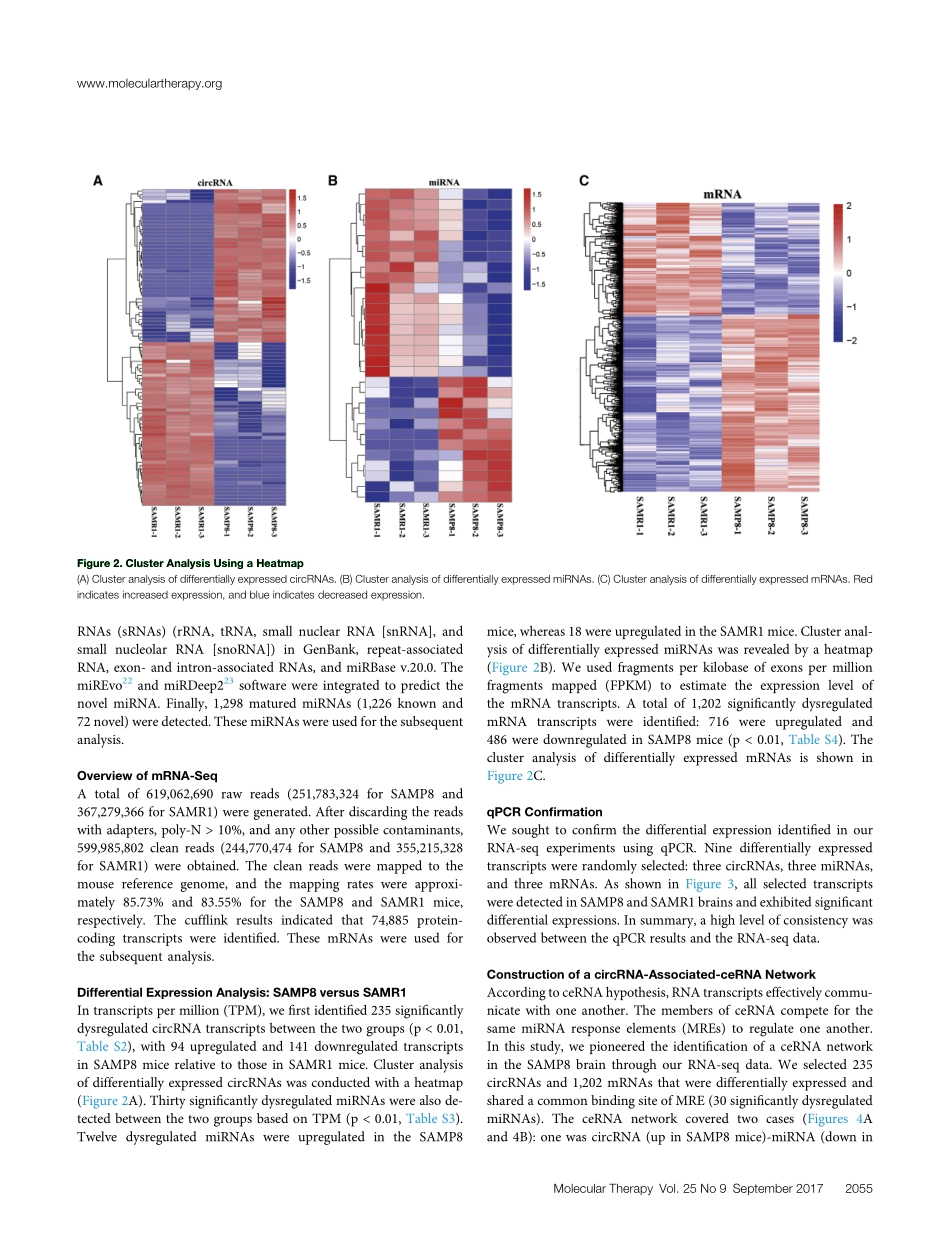 Mol Ther. 2017衰老加速小鼠大脑中circRNA相关ceRNA网络的特征.pdf_第3页