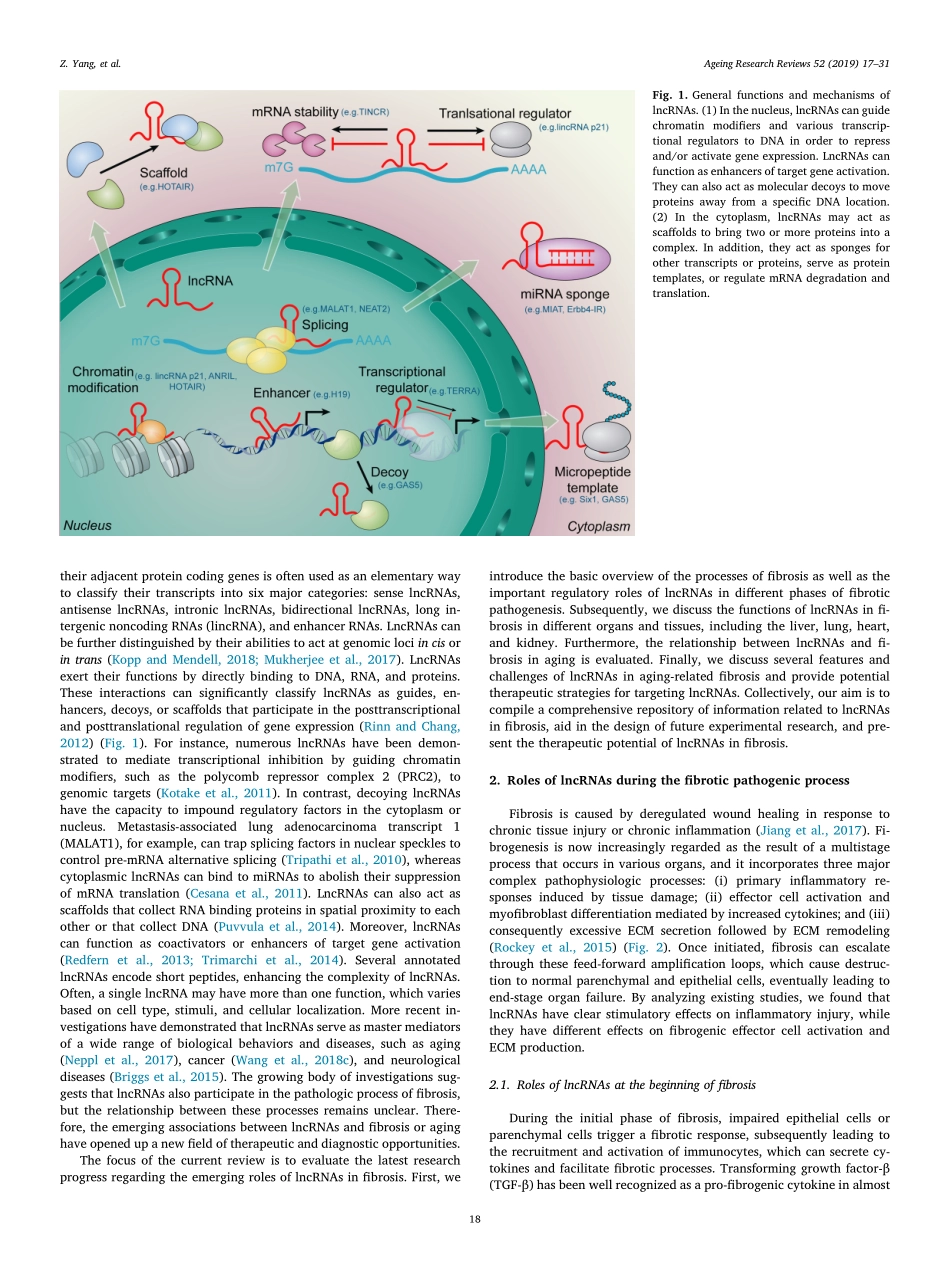 LncRNA Shedding light on mechanisms and opport.pdf_第2页