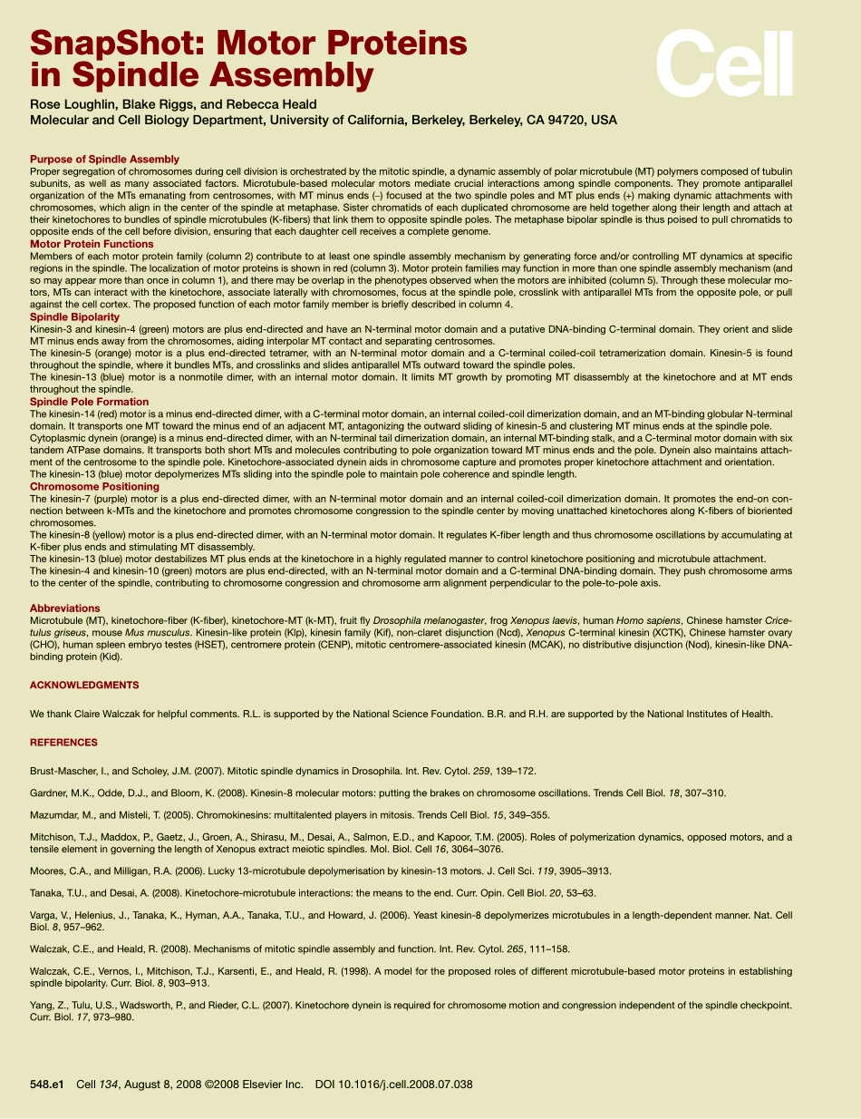 Motor Proteins in Spindle Assembly.PDF_第2页