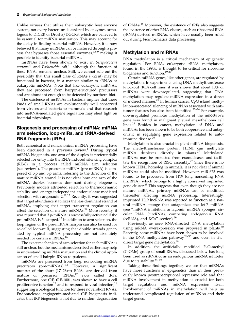 Additional stories of microRNAs.pdf_第3页