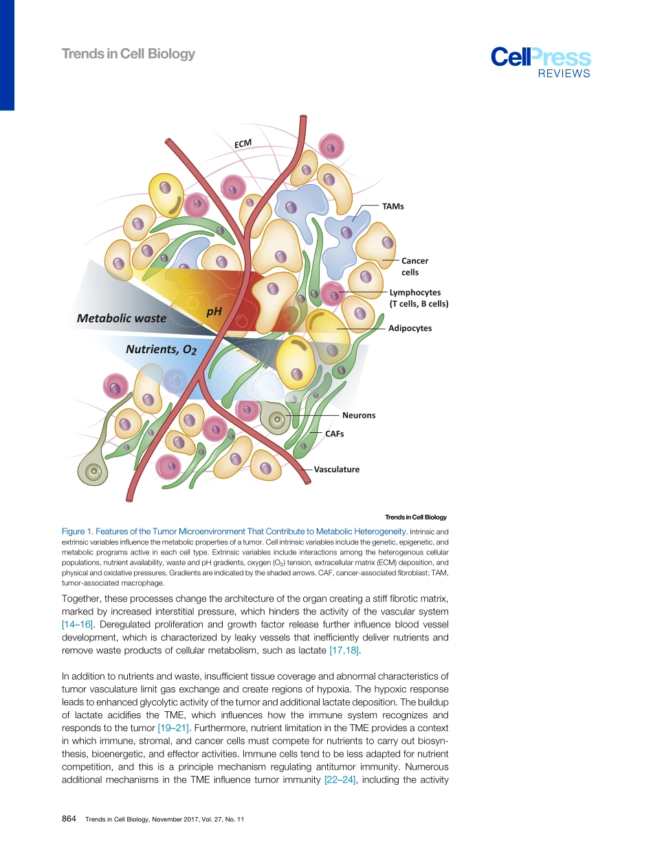 Lyssiotis-2017-Metabolic Interactions in the T.pdf_第2页