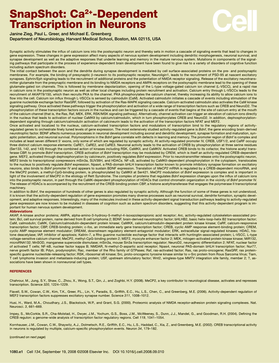 Ca2+-Dependent Transcription in Neurons.PDF_第2页
