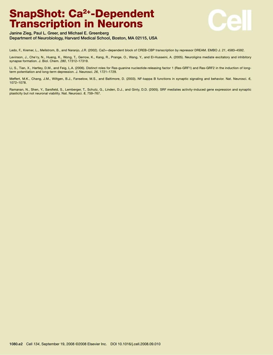 Ca2+-Dependent Transcription in Neurons.PDF_第3页