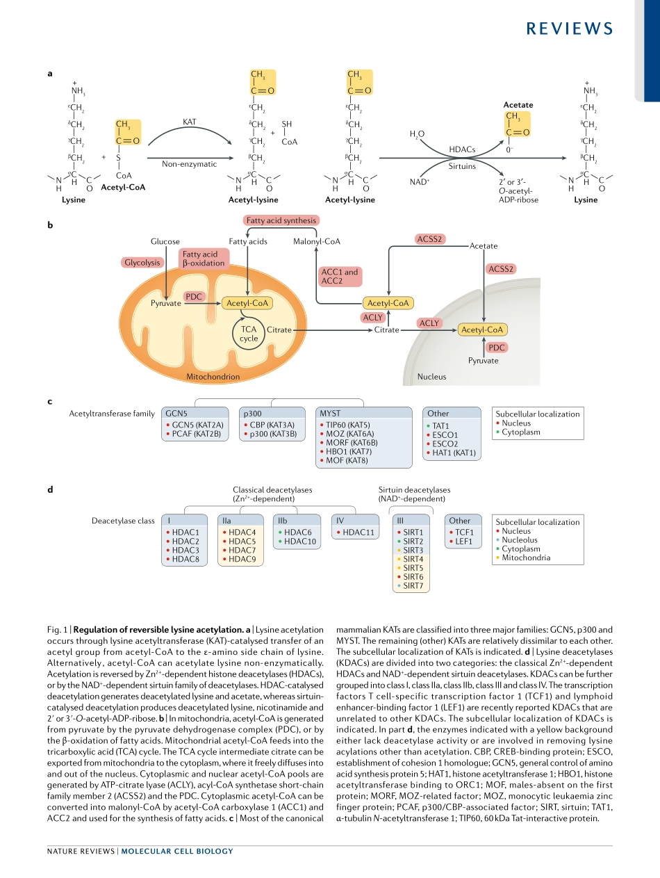 Narita-2018-Functions and mechanisms of non-hi.pdf_第3页