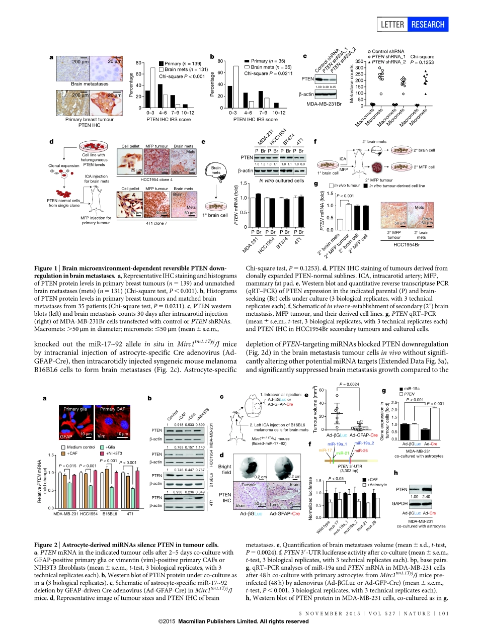 Nature. 2015 外泌体microRNA引起的微环境诱导的PTEN缺失启动了脑转移的生长.pdf_第3页