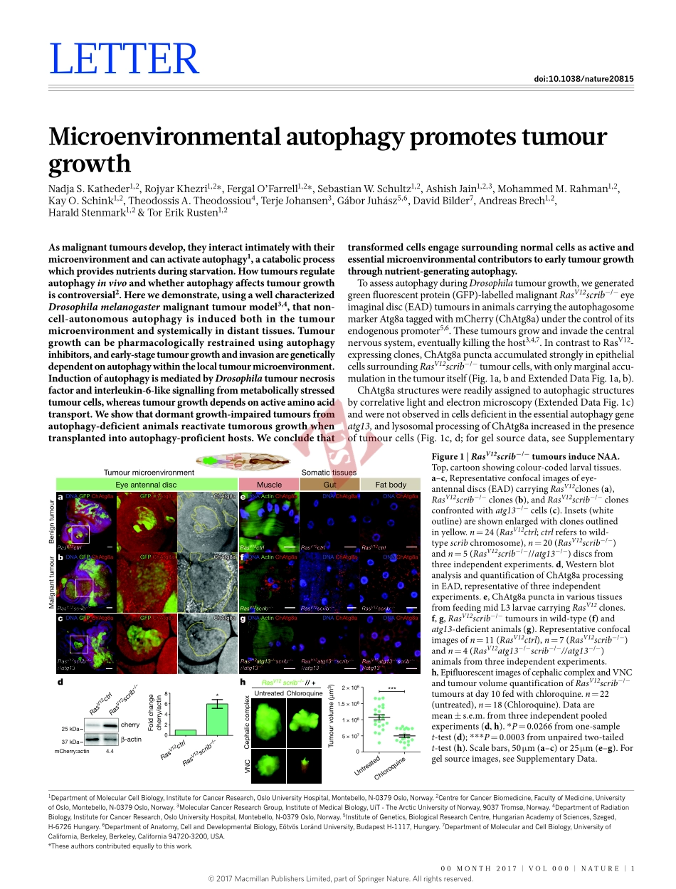 PMID：28077876.pdf_第1页