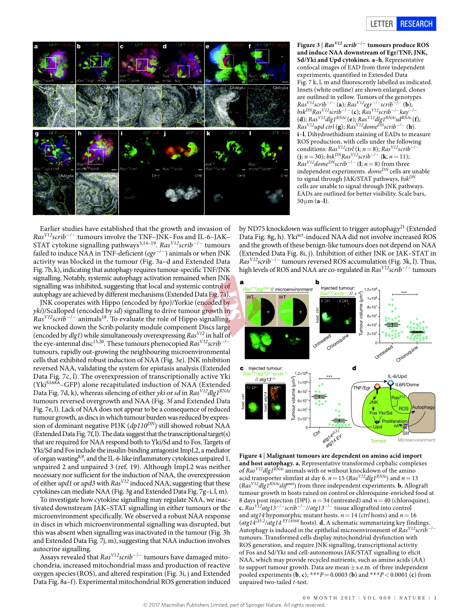 PMID：28077876.pdf_第3页