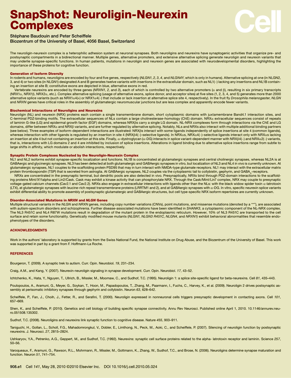 Neuroligin-Neurexin Complexes.PDF_第2页