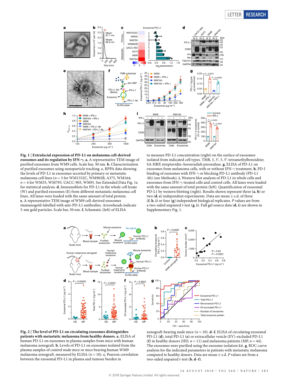 Nature. 2018 外泌体PD-L1有助于免疫抑制并与抗PD-1反应相关.pdf_第2页