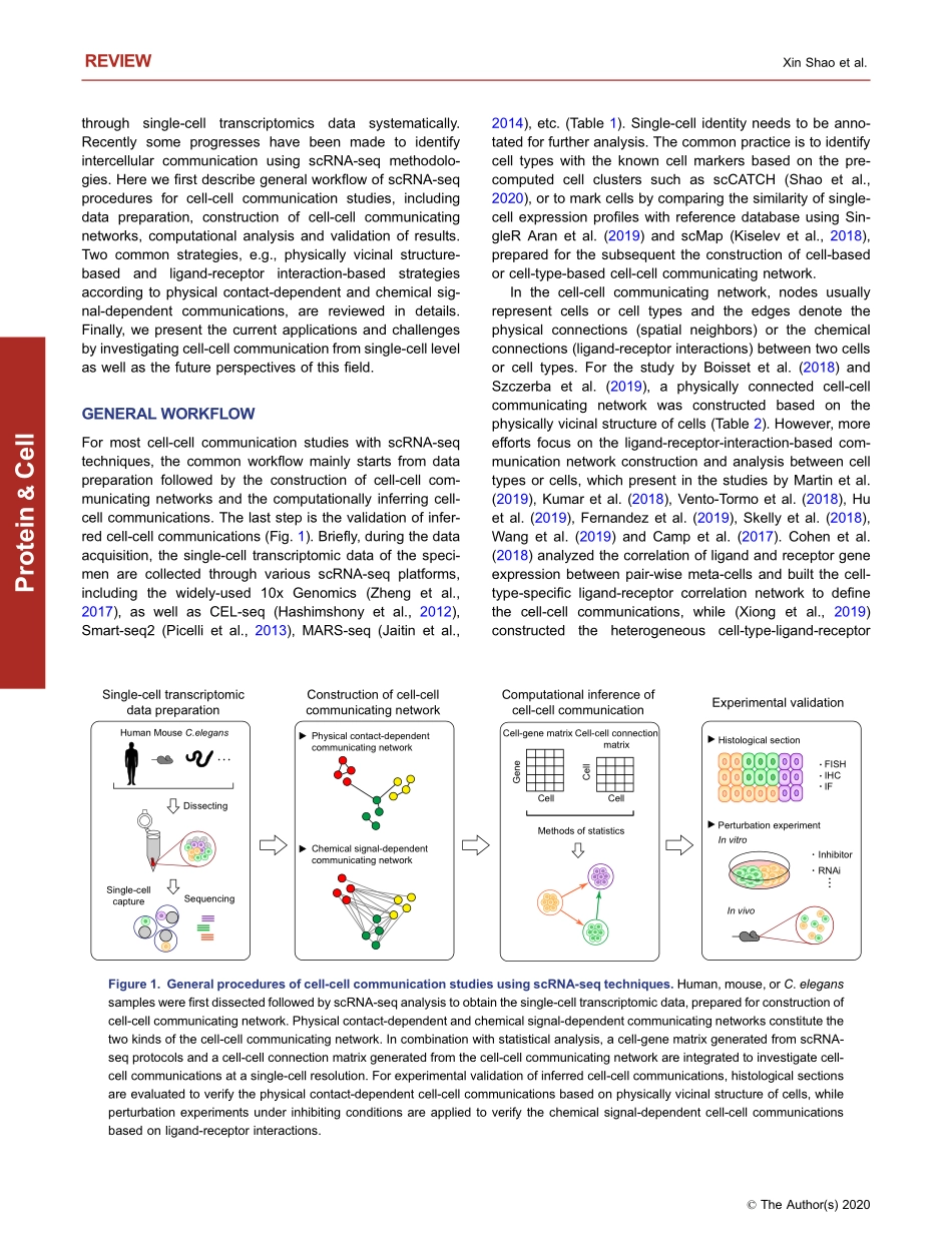 New avenues for systematically inferring cellc.pdf_第2页