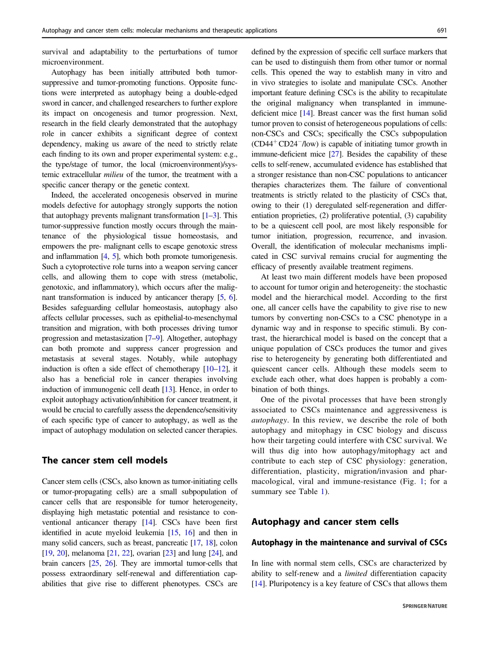 Autophagy and cancer stem cells molecular mech.pdf_第2页