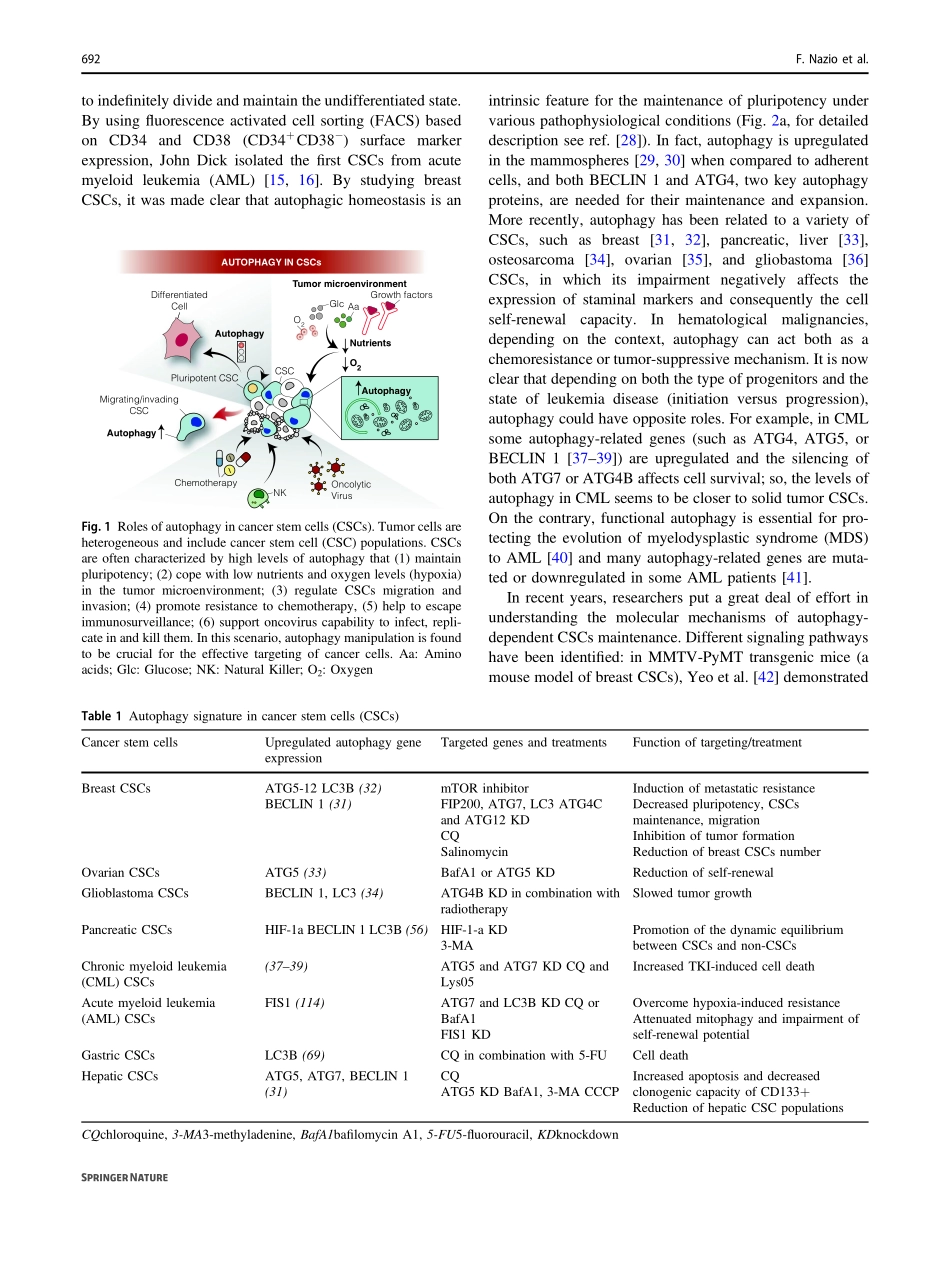 Autophagy and cancer stem cells molecular mech.pdf_第3页