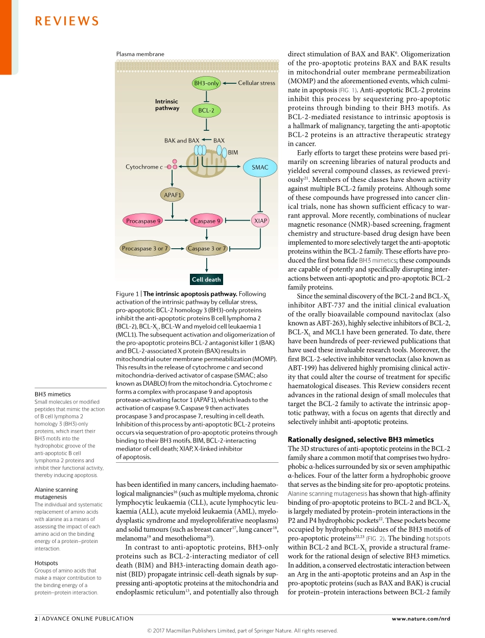 Nat Rev Drug Discov 2017从基础细胞凋亡发现到高级选择性BCL-2家族抑制.pdf_第2页