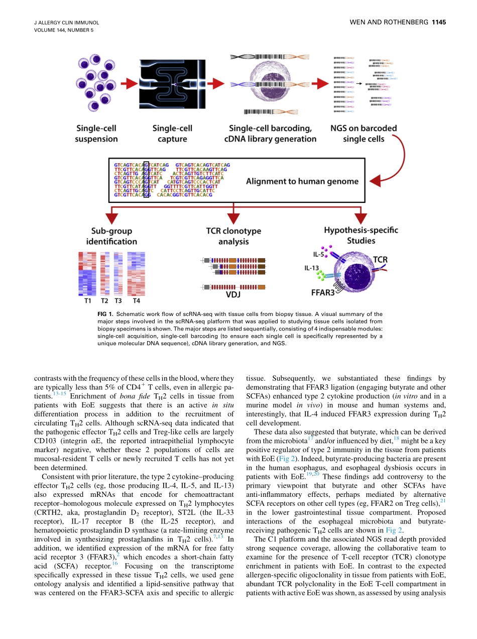 Cell-by-cell deciphering of T cells in allergi.pdf_第3页