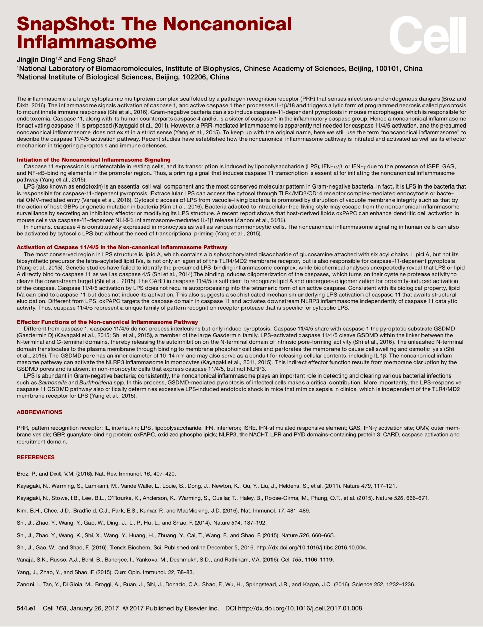 Noncanonical Inflammasome.pdf_第2页