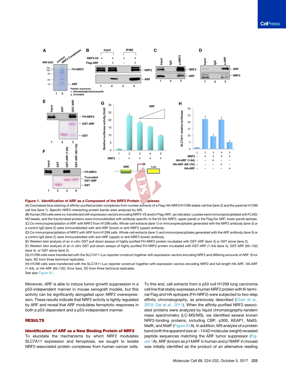 PMID：28985506.pdf_第3页