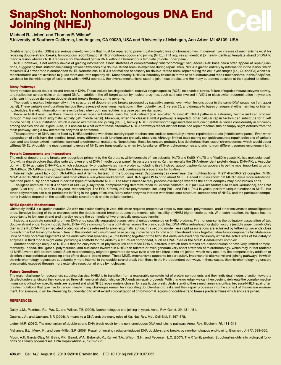 Nonhomologous DNA End Joining (NHEJ).PDF_第2页