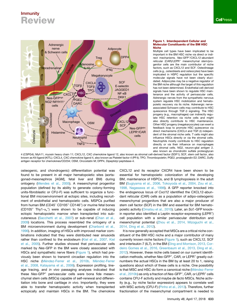 Niches for Hematopoietic Stem Cells and Their.pdf_第2页