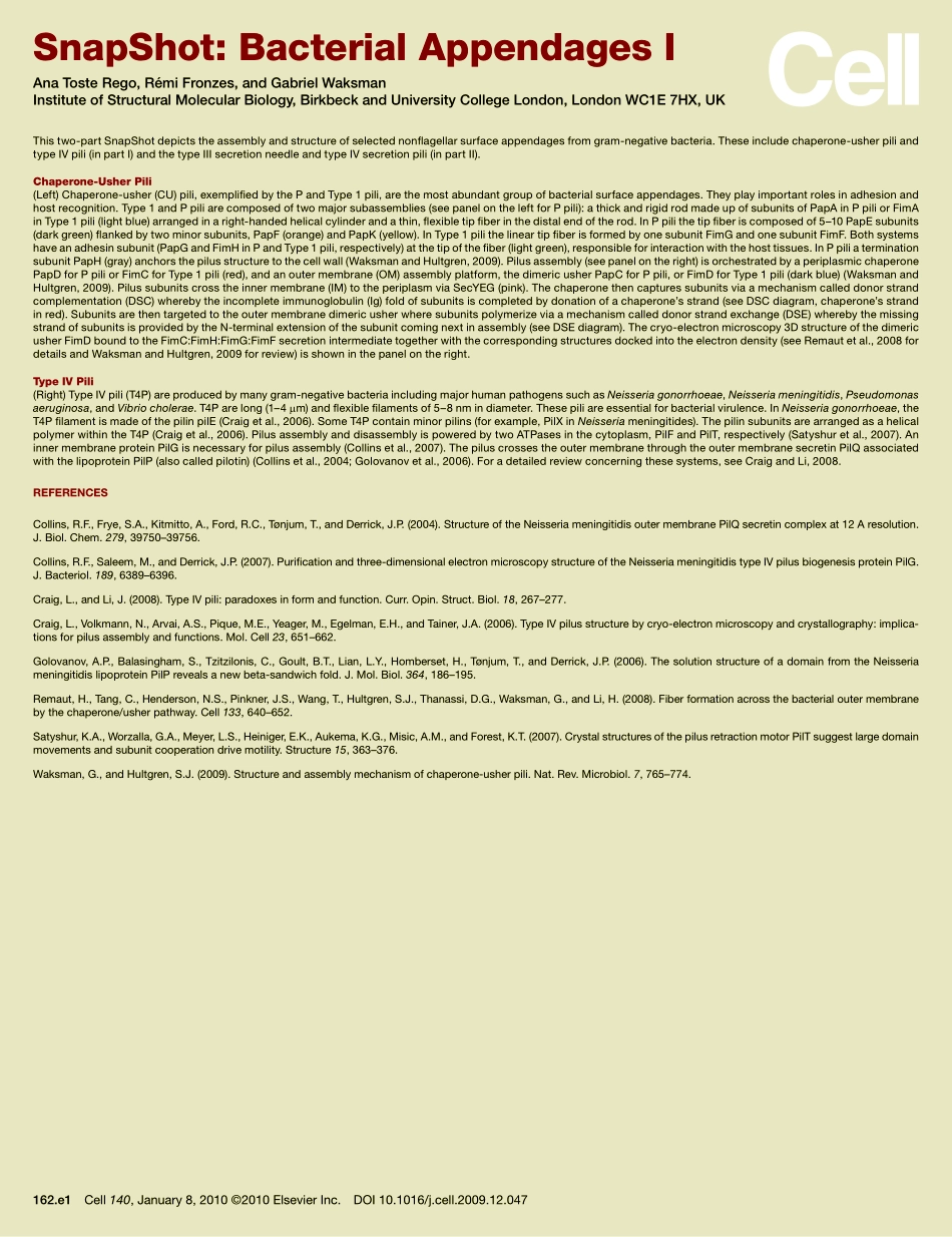 Bacterial Appendages I.PDF_第2页