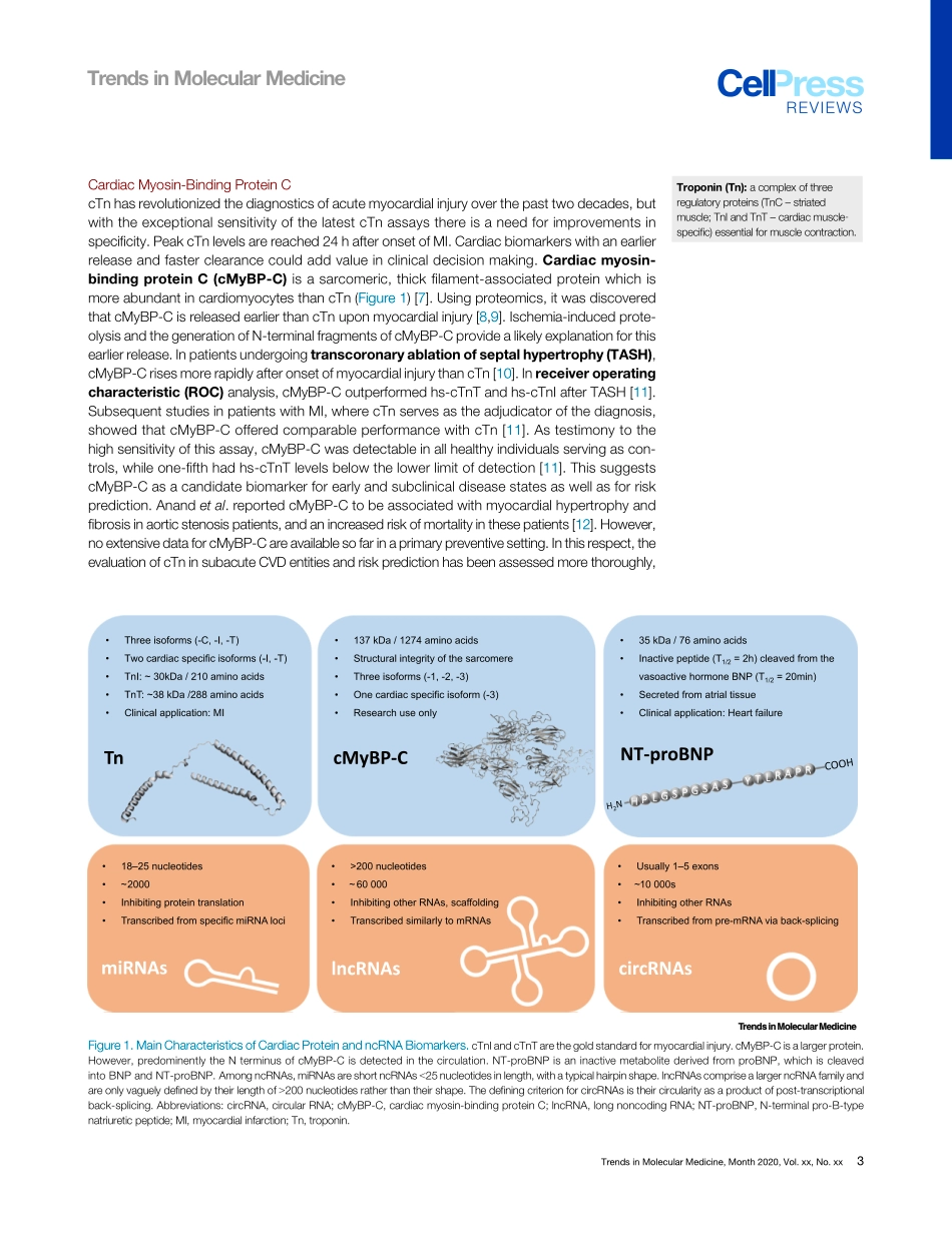Noncoding RNAs versus Protein Biomarkers in Ca.pdf_第3页