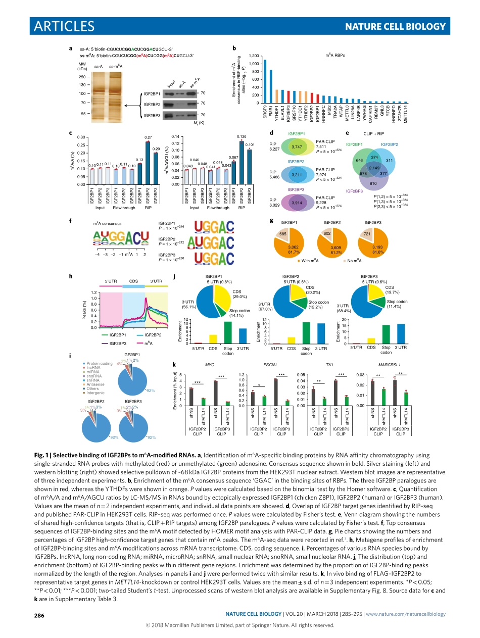PMID：29476152.pdf_第2页