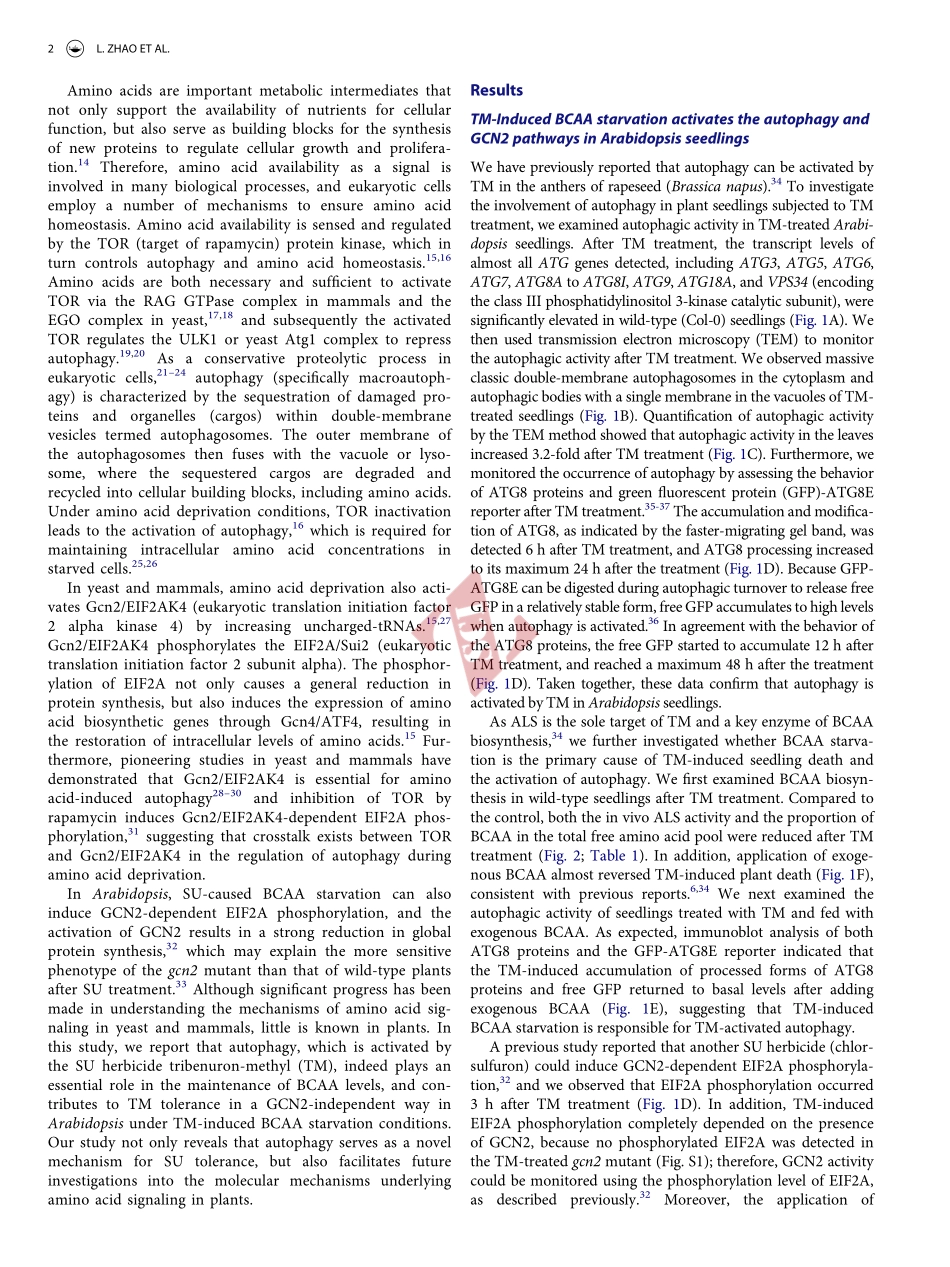 PMID：29377765.pdf_第3页