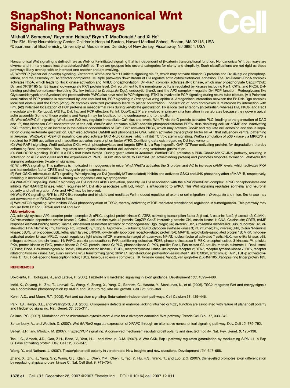 Noncanonical Wnt Signaling Pathways.PDF_第2页