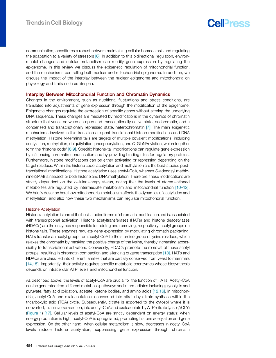 Mitochondria and Epigenetics – Crosstalk in Homeostasis and Stress.pdf_第2页
