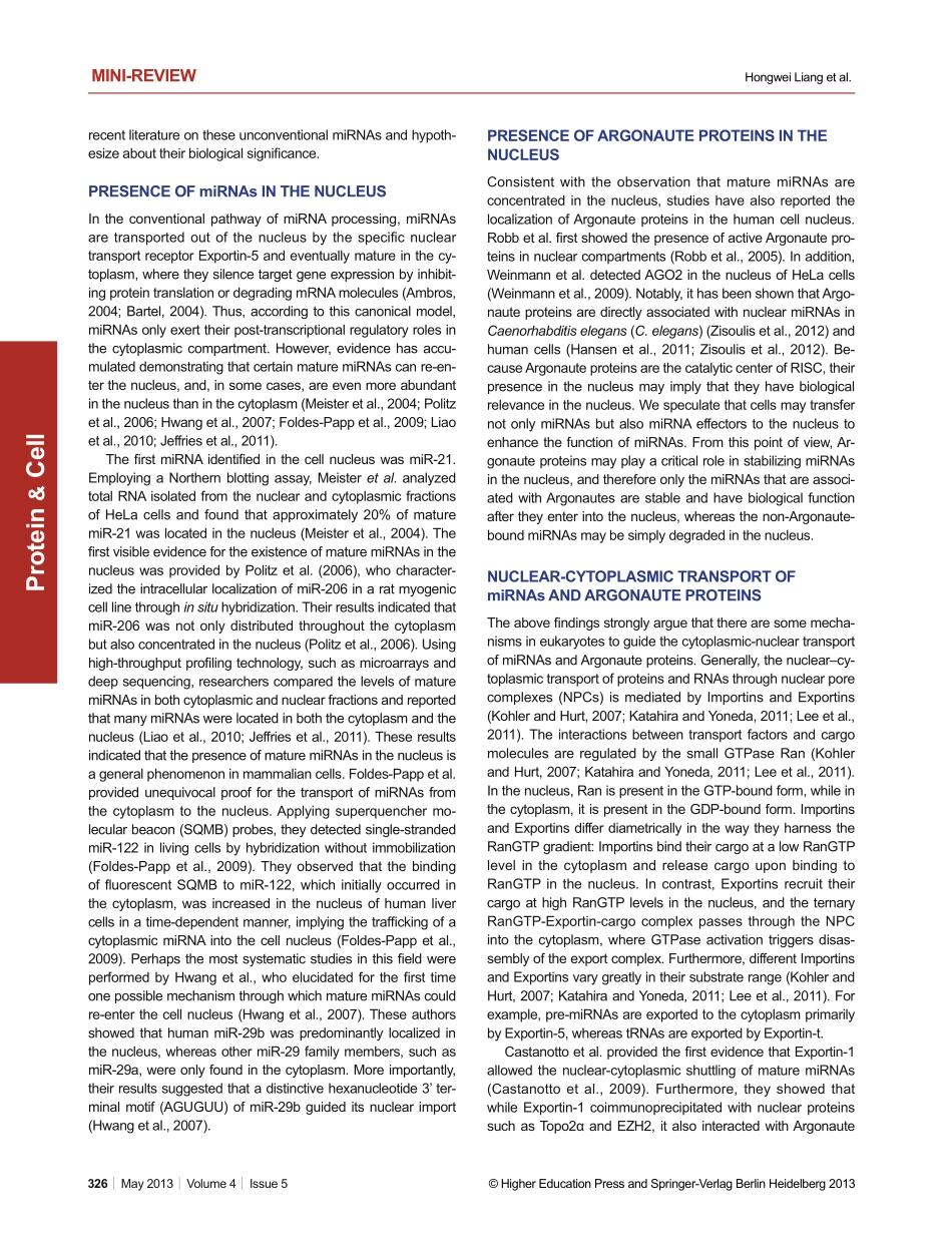 Nuclear microRNAs and their unconventional role in regulating non-coding RNAs.pdf_第2页