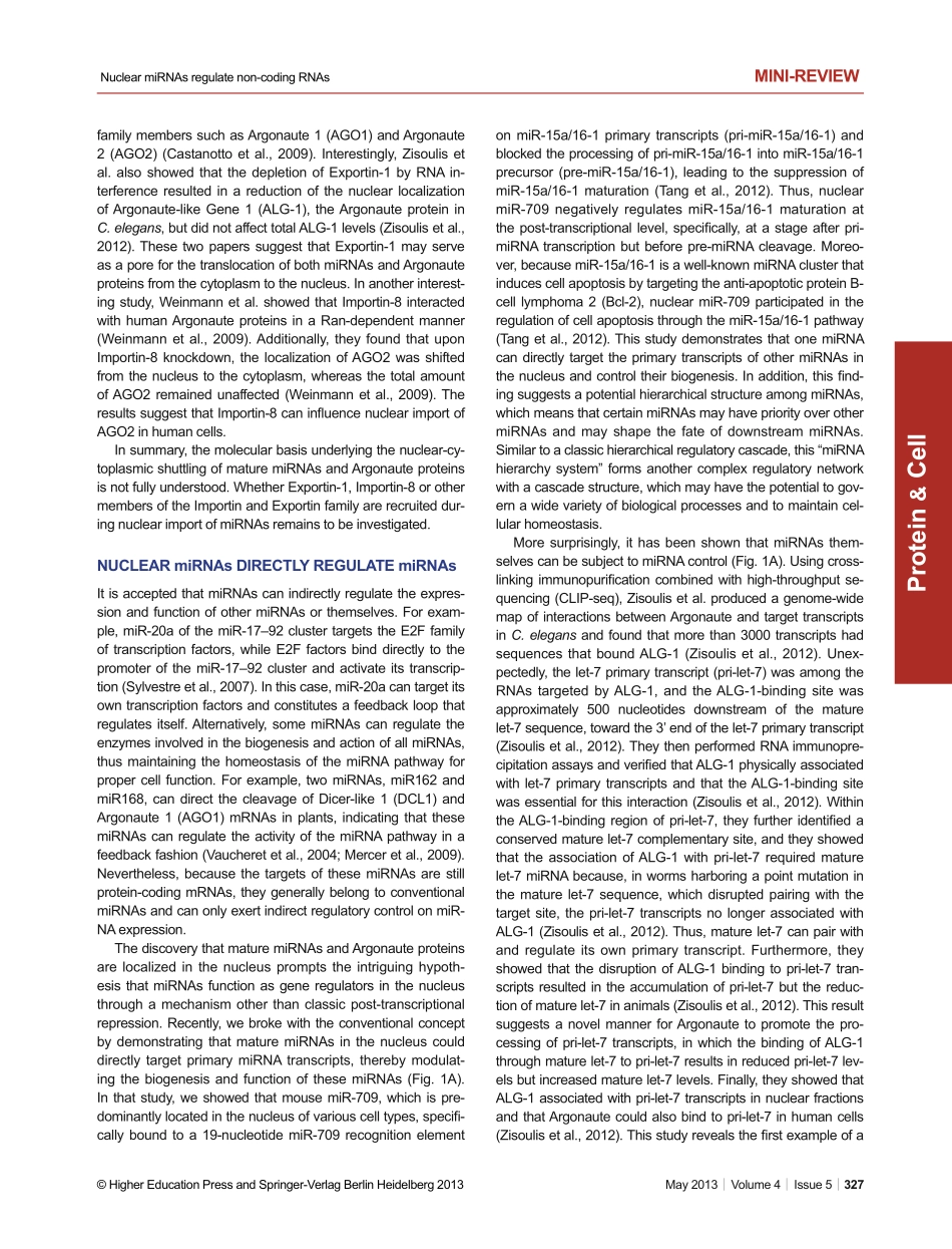 Nuclear microRNAs and their unconventional role in regulating non-coding RNAs.pdf_第3页