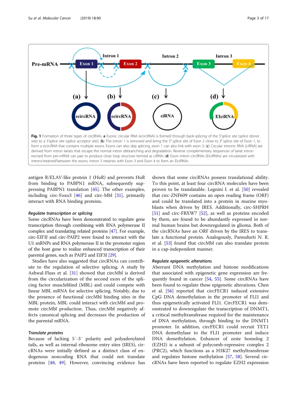 Circular RNAs in Cancer emerging functions in.pdf_第3页