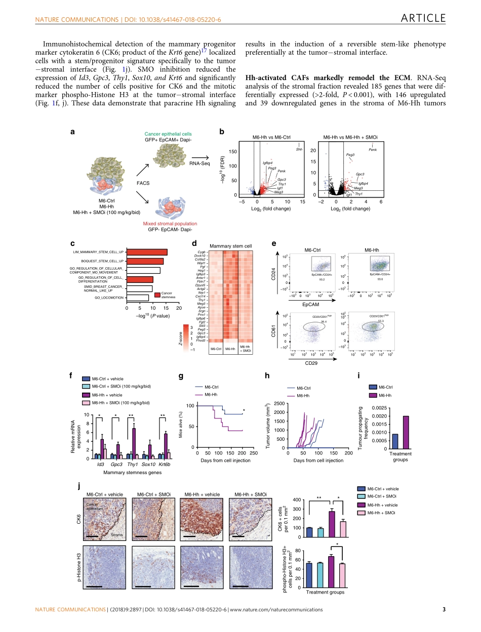 PMID：30042390.pdf_第3页