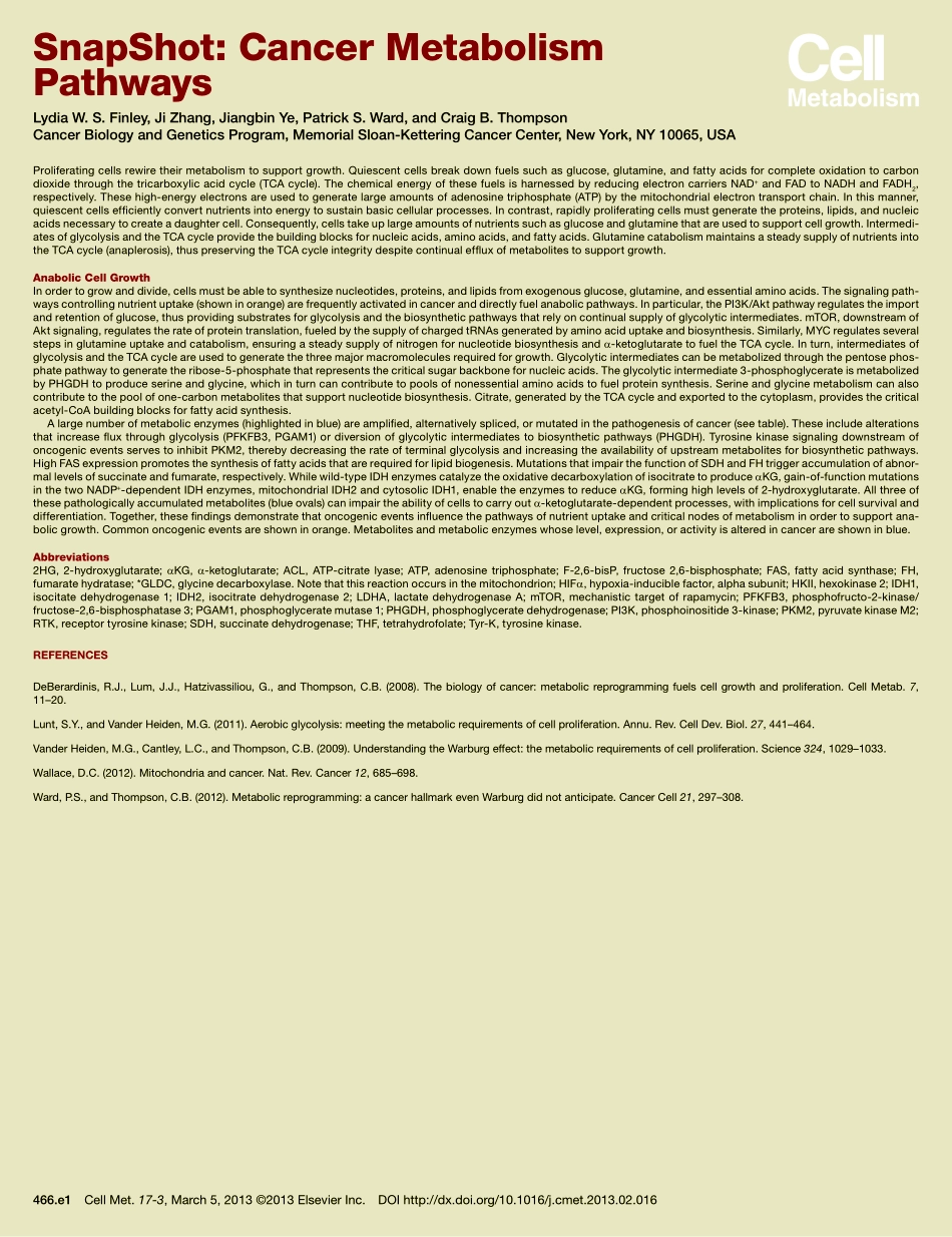 Cancer Metabolism Pathways.pdf_第2页