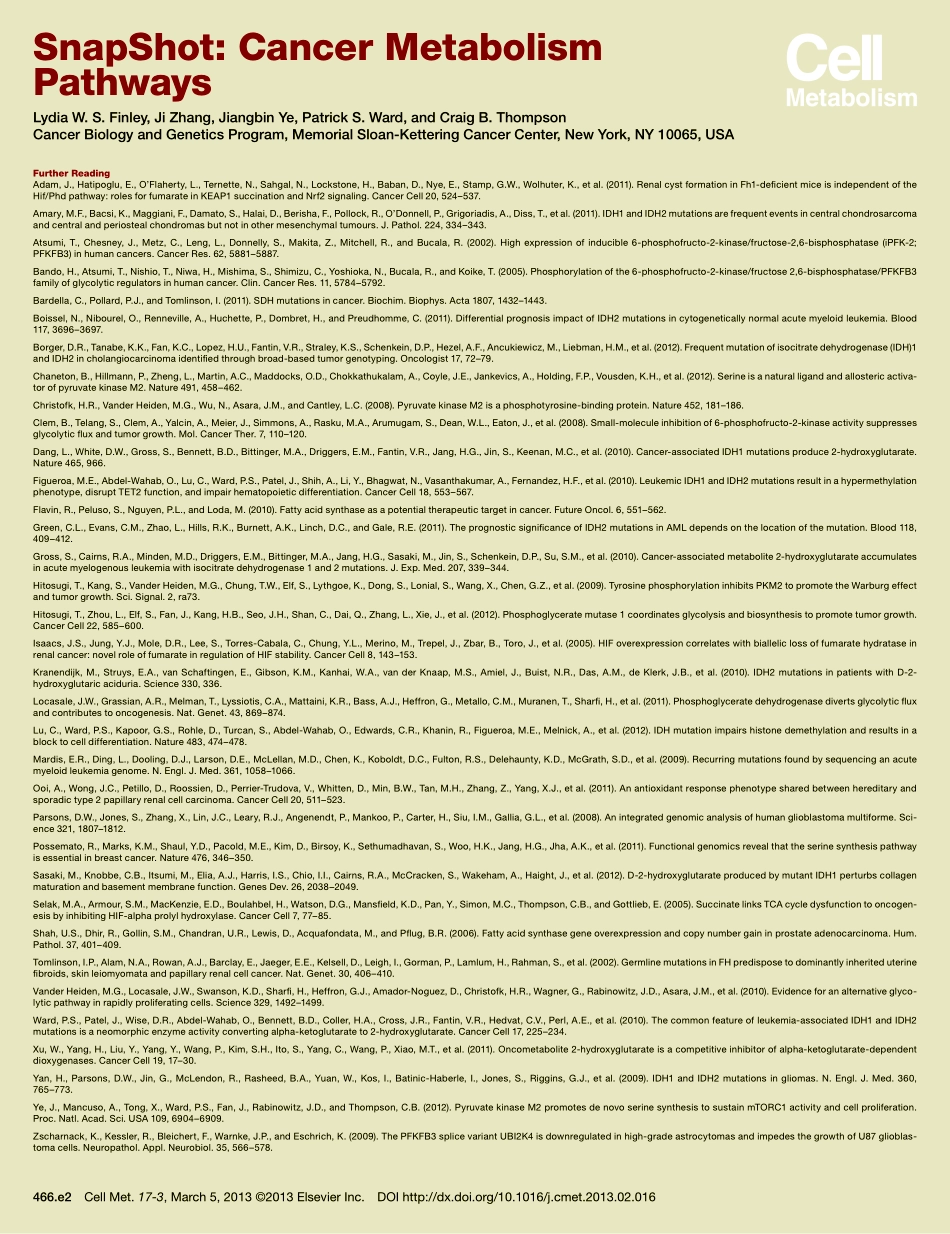 Cancer Metabolism Pathways.pdf_第3页