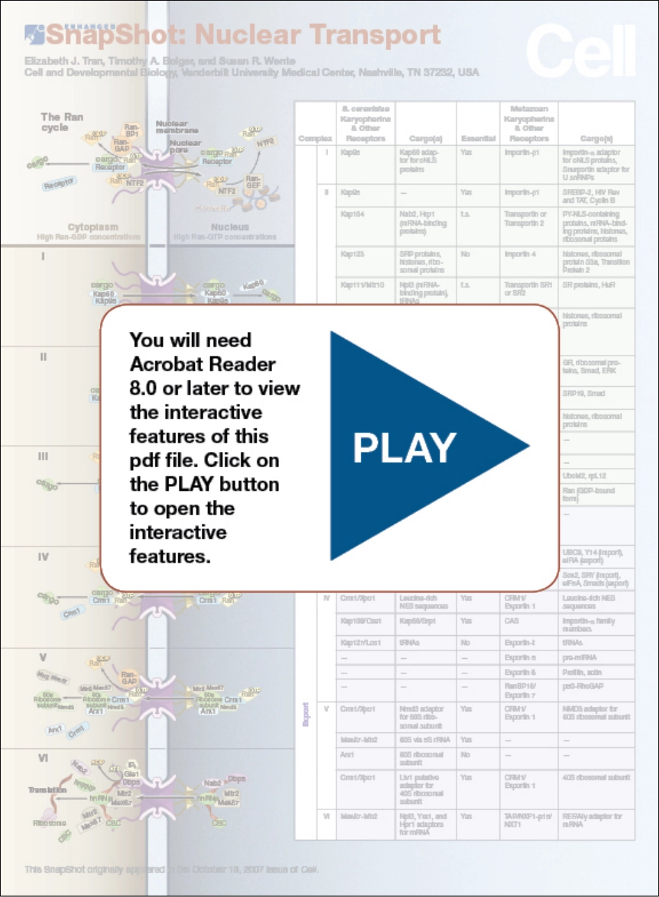 Nuclear Transport Enhanced.PDF_第1页